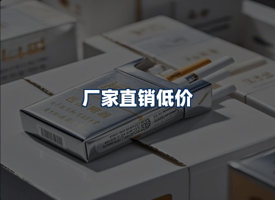 专业团队办公环境